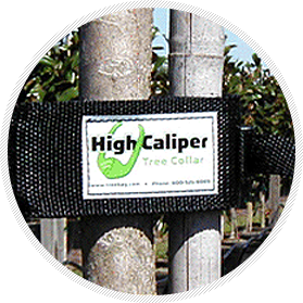 Easy to put on and take off tree collars