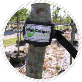 High Caliper tree collar