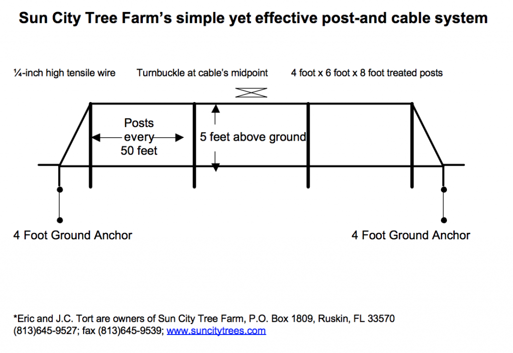 Sun City Tree Farm's post-and-cable system