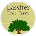 lassiter tree farm